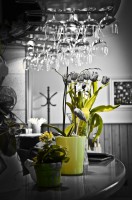 /album/restauracia/dsc-0869-2-jpg/